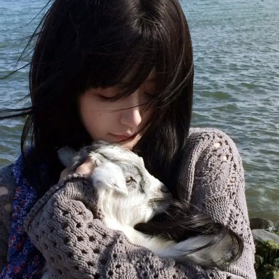 茶花村的幸福生活